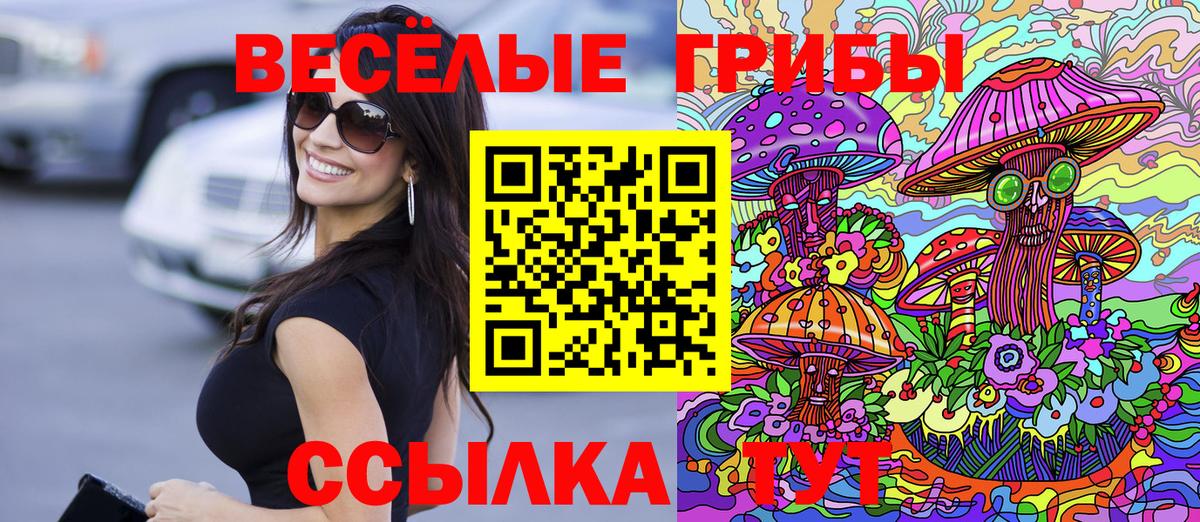Псилоцибиновые грибы Cubensis  Вход с VPN  Десногорск 