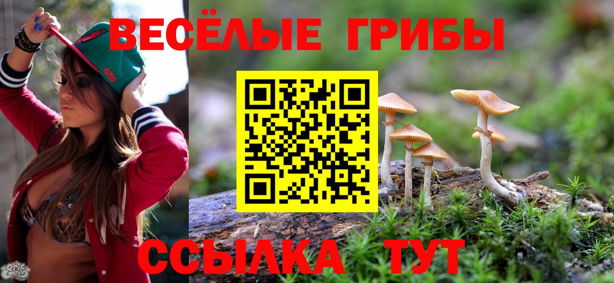 Псилоцибиновые грибы мухоморы Десногорск